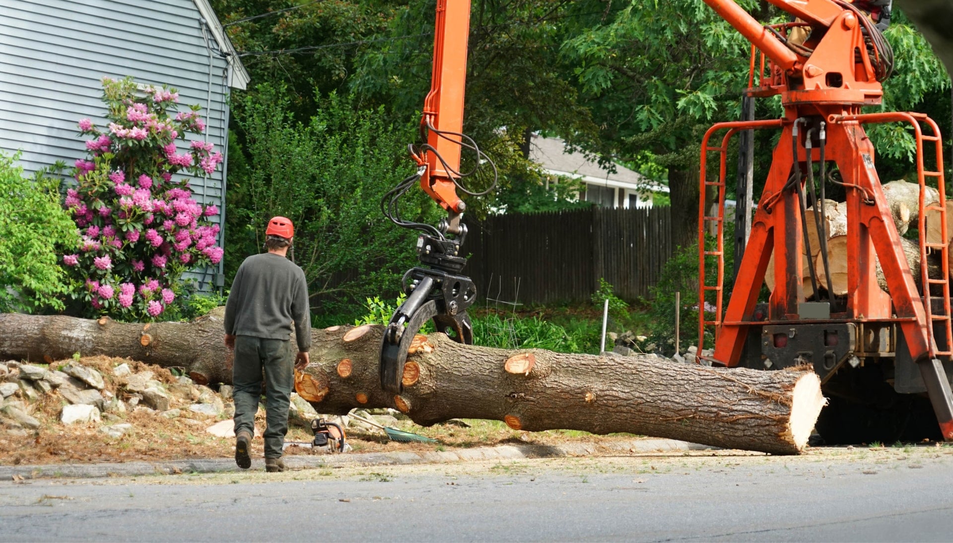 Heavy machinery is used to remove a tree after cutting in a {city} yard.