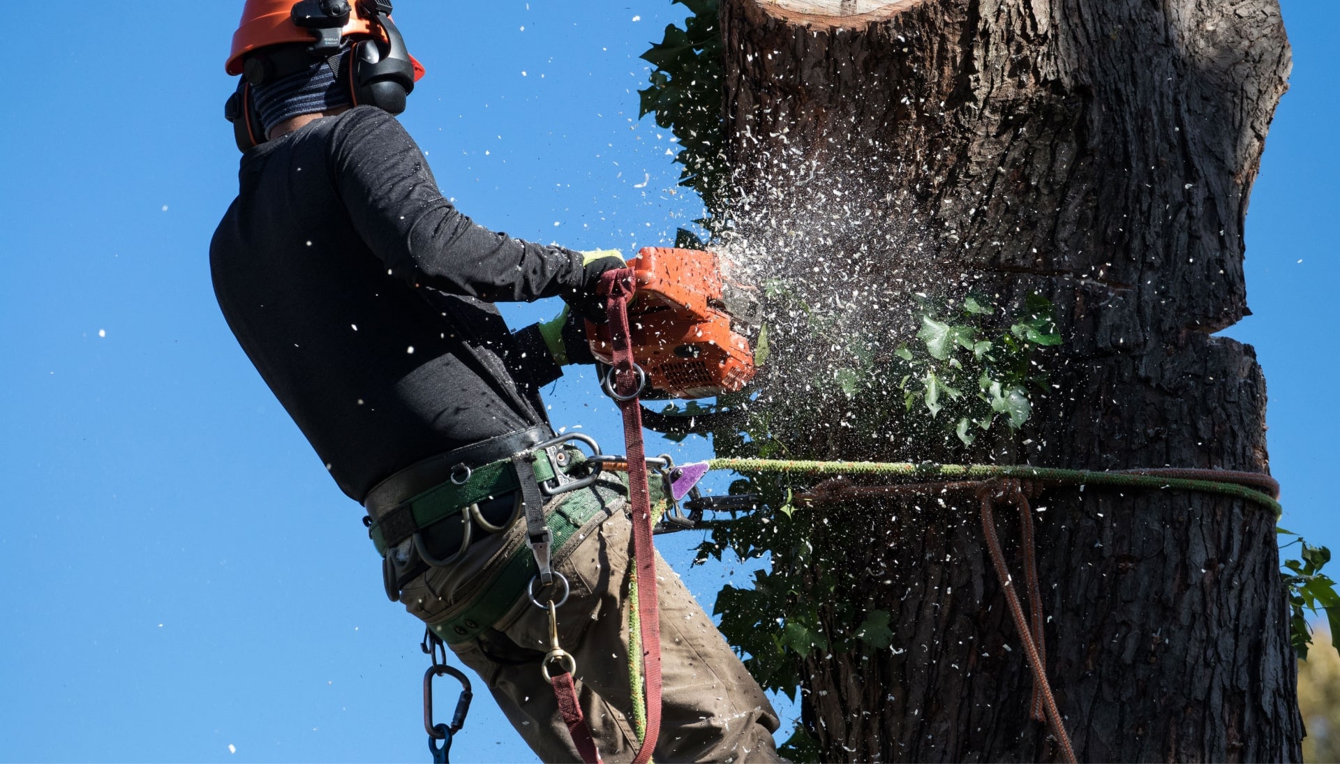 A professional tree removal expert removes a tree trunk from a {city} yard.