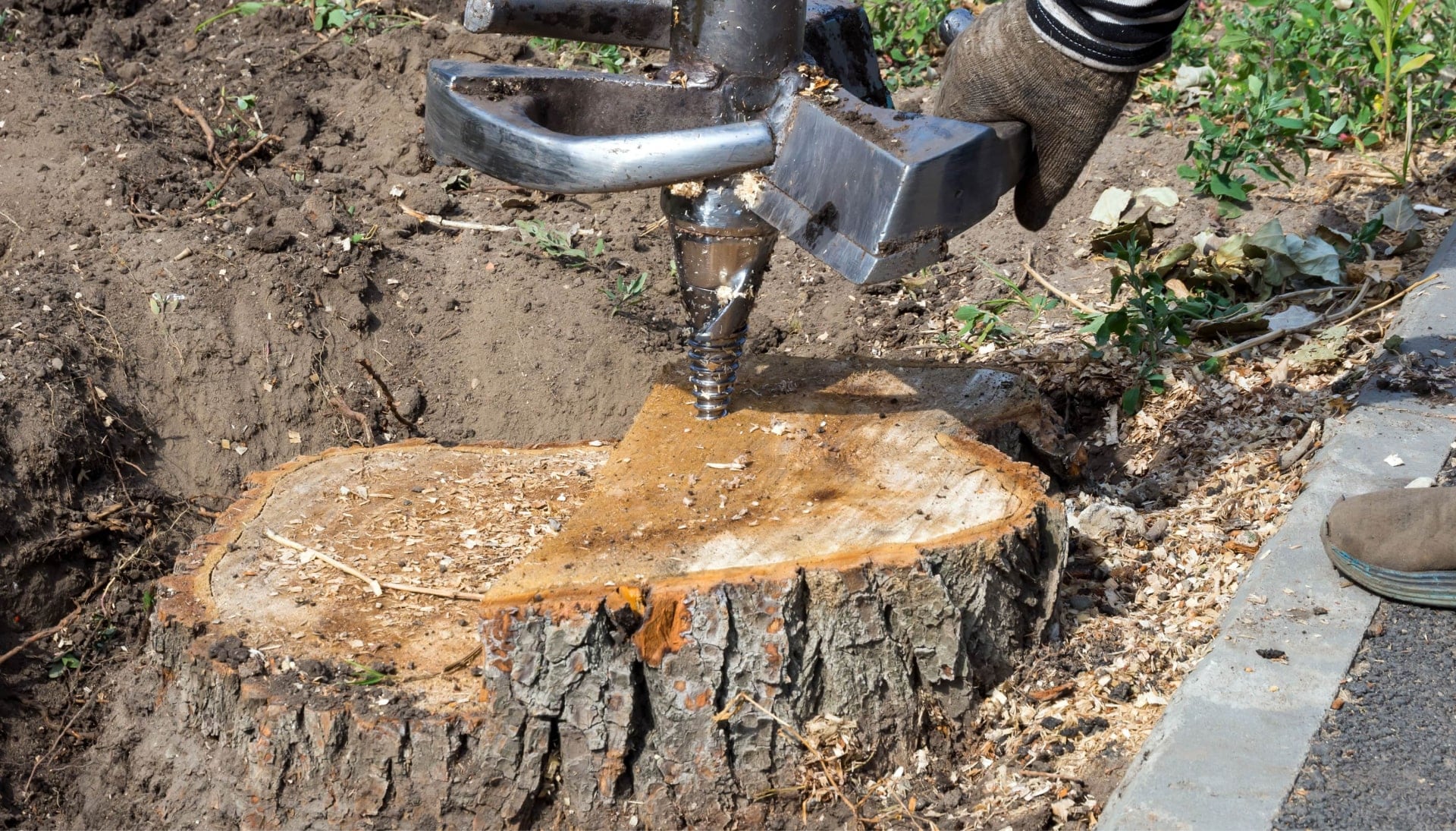 Expert stump grinding services begins on a {city} property.